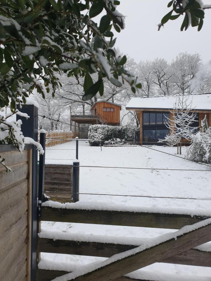 La Cabane Perchee Du Faucon Frechou-Frechet Bagian luar foto